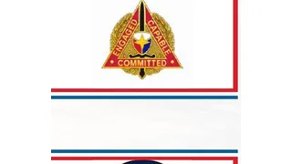 Partner force
